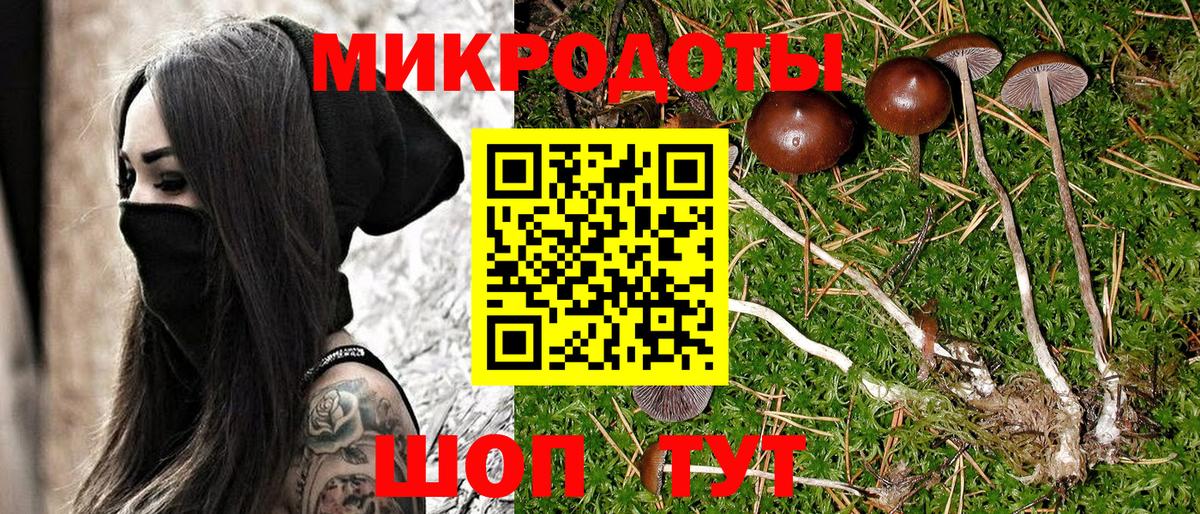 Кирово-Чепецк  Псилоцибиновые грибы мицелий  Псилоцибиновые грибы GOLDEN TEACHER  Вход с VPN 